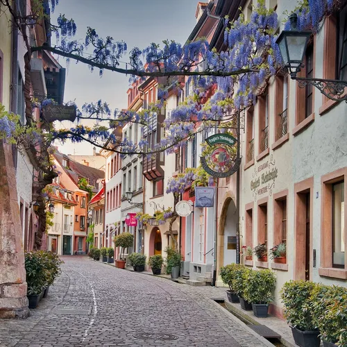 Freiburg Kleine idyllische Gasse in Freiburg.